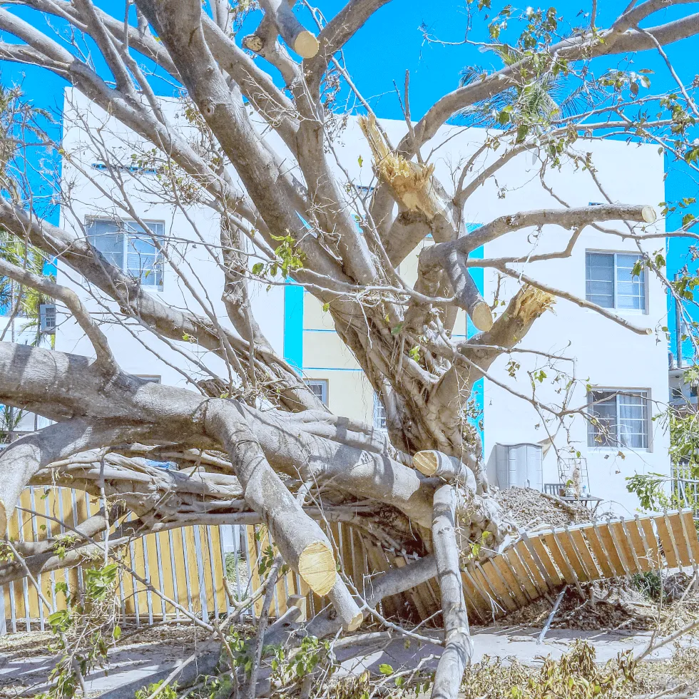 protect-your-business-assets-from-damage-or-loss_original