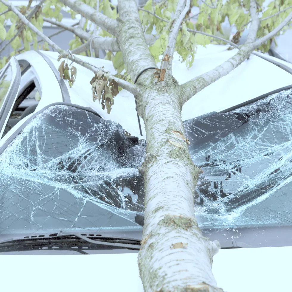 what-does-commercial-auto-insurance-cover_original